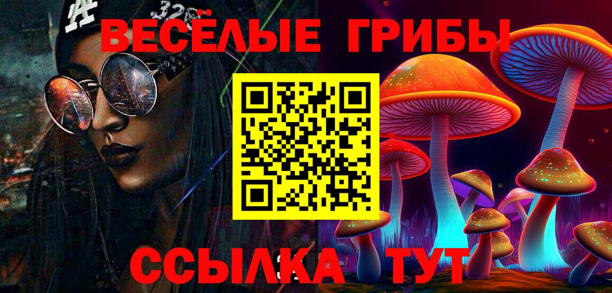 Галлюциногенные грибы Cubensis Фролово
