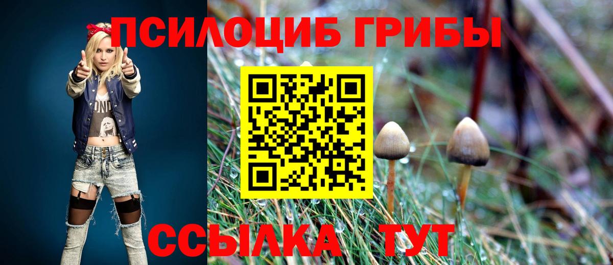 Галлюциногенные грибы Psilocybe  Вход с VPN  Фролово 