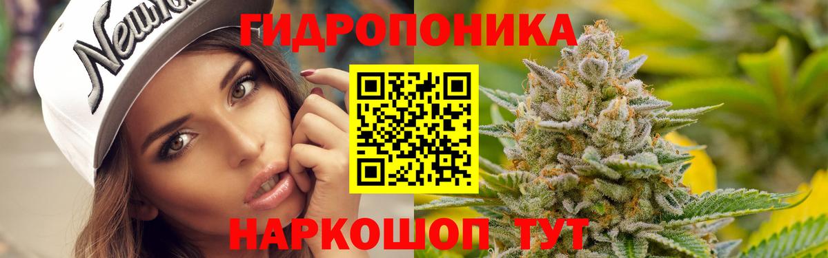 Фролово  Шишки марихуана OG Kush  Вход с VPN  Шишки марихуана гибрид  Бошки марихуана AK-47 